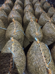 KACANG TANAH BASAH/KERING