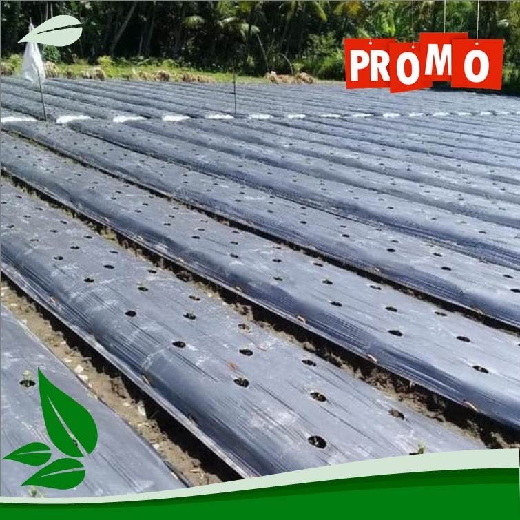 Mulsa Plastik Penutup Lahan Berkualitas