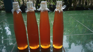 Madu hutan Murni