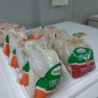 AYAM KAMPUNG PROBIOTIK.AYAM SEHAT.DIKEMBANGKAN SECARA ORGANIK