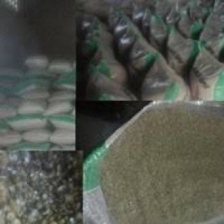 GRIT CANGKANG KERANG / GRIT CANGKANG KERANG