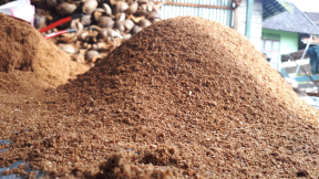 media cocopeat