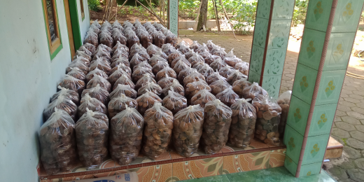 gula jawa organik
