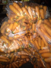 Stok utk sidoarjo jatim