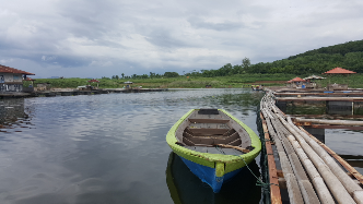 Daging ikan mas