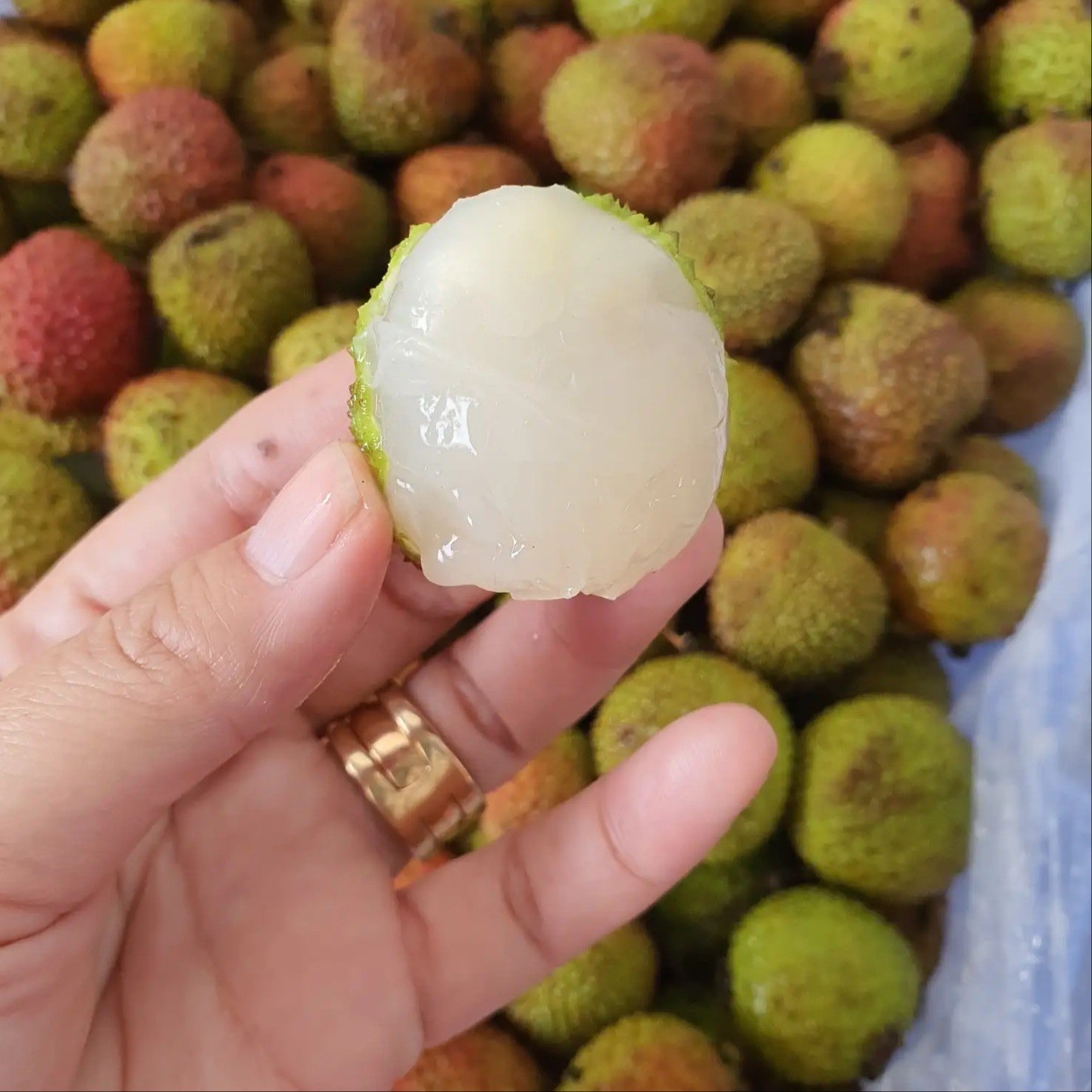 Leci Madu Import Thailand