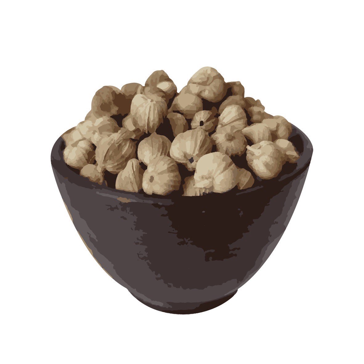 Kapulaga Putih / White Cardamom (Indonesia)
