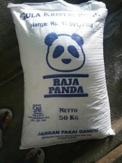 Raja Panda