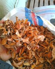 jual rempah kering/segar