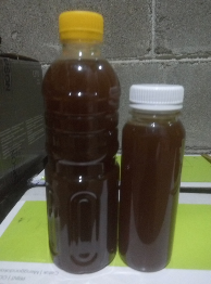 madu klenceng/trigona