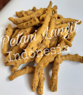 Kunir / Kunyit Gelondong Poles Kering. 
(Dried Finger Turmeric Polishing)