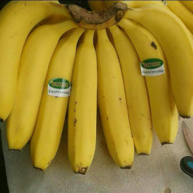 Pisang Cavendish