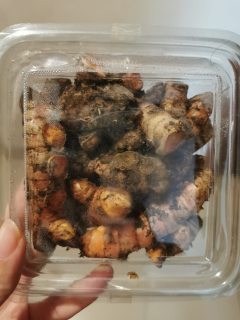 Jual Temulawak Organik Segar