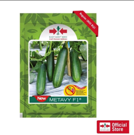 BENIH BIBIT MENTIMUN NEW METAVI 800BUTIR