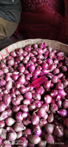 bawang merah