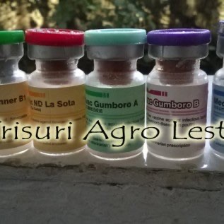 JUAL VAKSIN UNTUK UNGGAS (ND, GUMBORO, A.I (FLU BURUNG))
