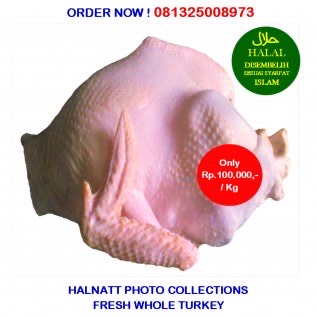 Daging Kalkun HALNATT HALAL Utuh Segar (Fresh Whole Turkey) Siap Kiirm !