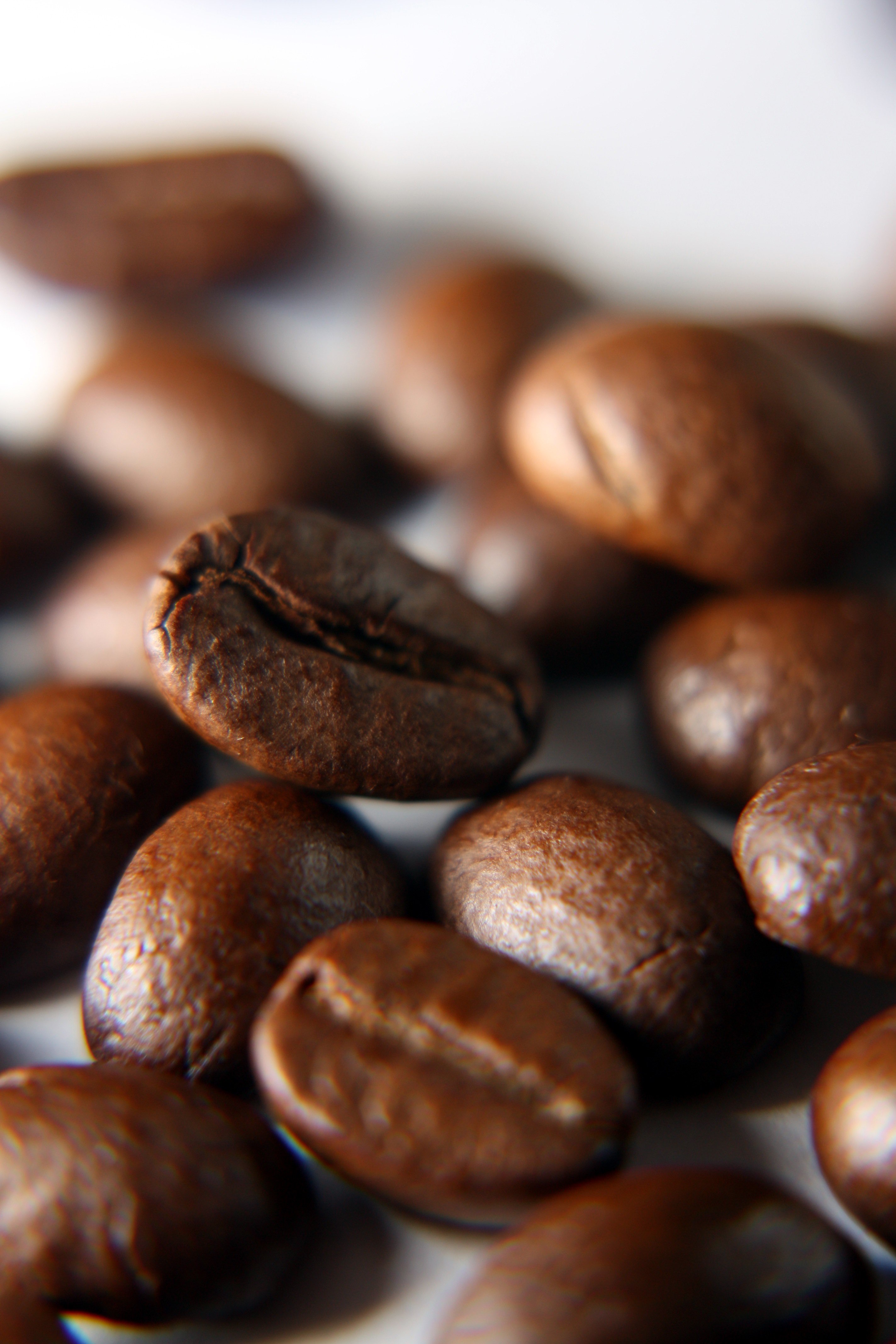Greenbean Robusta Jawa Sindoro