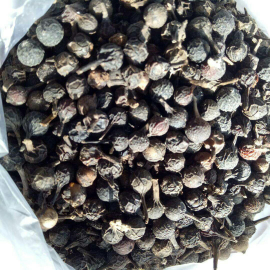 KEMUKUS KERING atau LADA JAWA