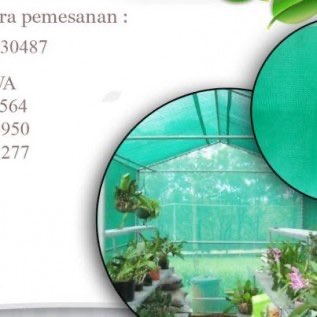 Insectnet Atau Kassa Untuk Tanaman Hidroponik