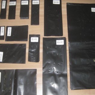 Polybag tanaman