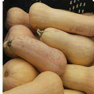 butetnut squash / labu kacang