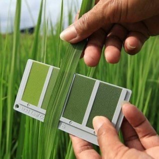 Bagan Warna Daun BWD