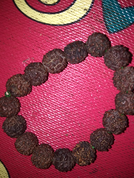 buah jenitri