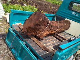 jual kayu gaharu ramin alami
