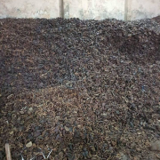 Ready stok Kopra asalan hari ini