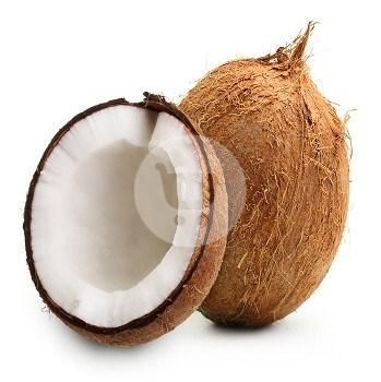 jual kelapa kualitas bagus
