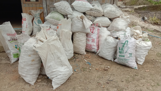 Jual empon empon Temulawak, Temuhitam, Kunir Kuning, Laos, Jahe, brotowali