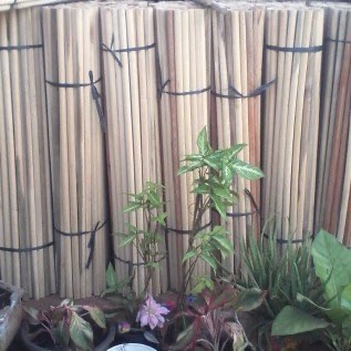 Produksi Gagang Sapu dengan panjang 1 Meter , 75 Cm , 30 Cm