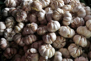 bawang putih
