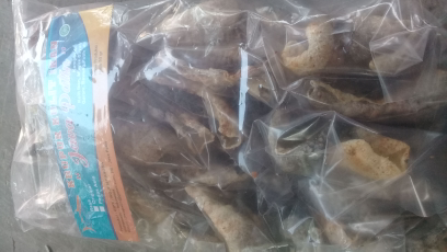 krupuk kulit ikan patin