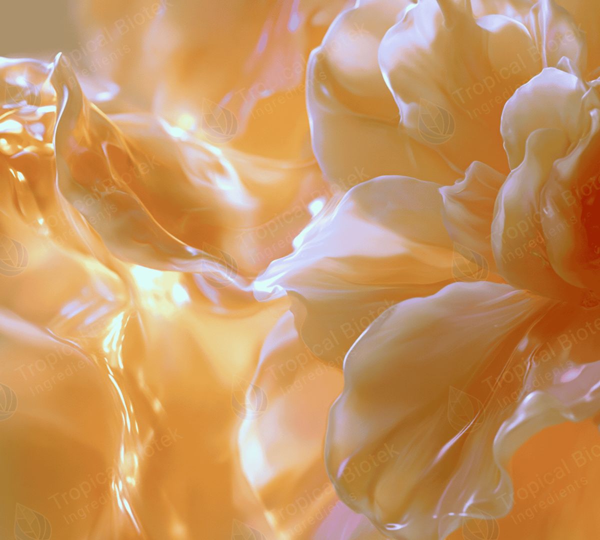 ORNG10X Orange Oil 10-Fold - Tropical Biotek Ingredients - MCI Miritz