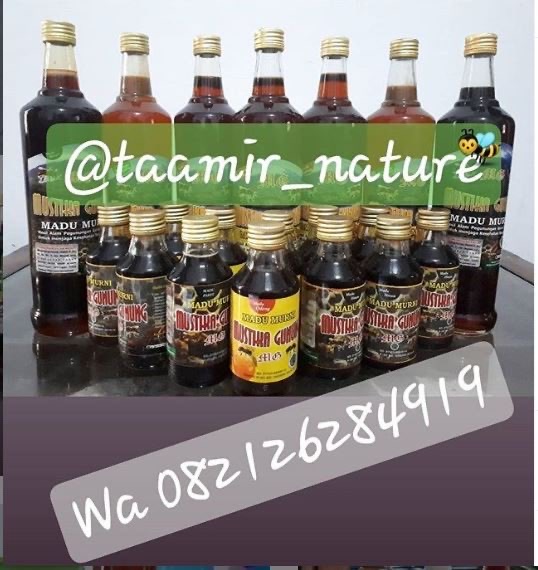 JUAL MADU MURNI (MUSTIKA GUNUNG), RESELLER MONGGO MERAPAT
