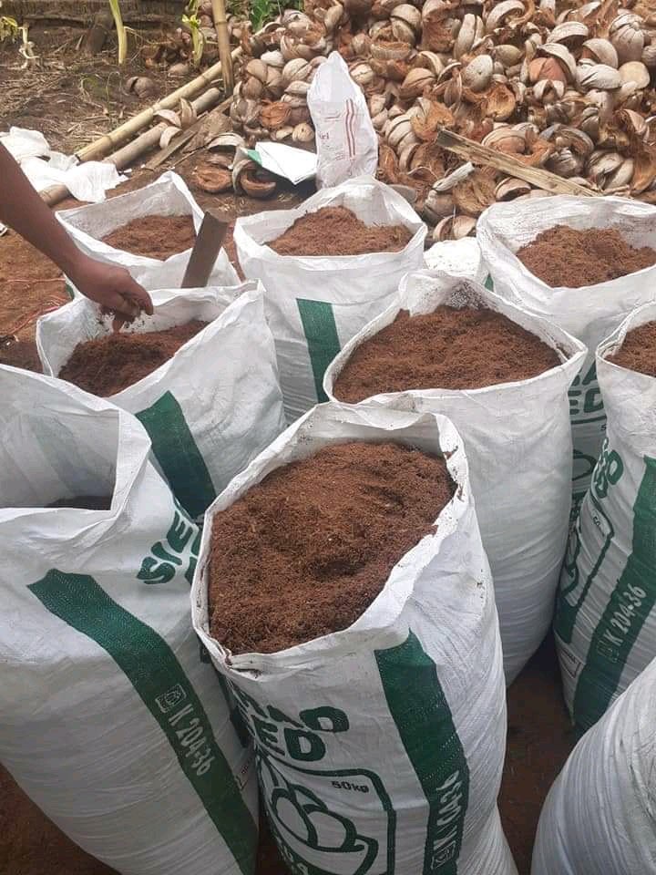 Media Tanam Coco Peat atau Sabut Gambut atau Debu Sabut