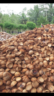 Arang Tampurung (Batok Kelapa)