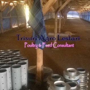 JUAL INDUKAN / PEMANAS (BROODER) BAHAN BAKAR BATU BARA