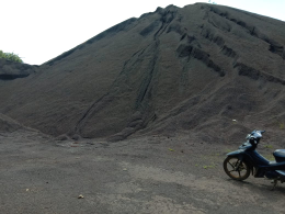 Damar Kayu Kwalitas Premium