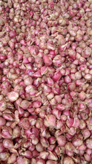 Bawang Merah