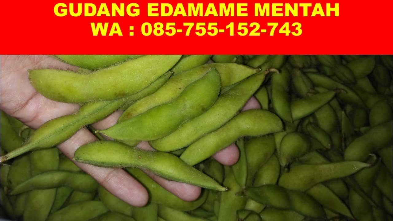 WA : -152-743 PENGEPUL EDAMAME MENTAH 