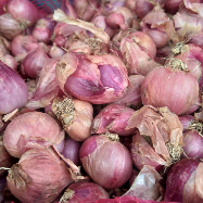 Bawang merah