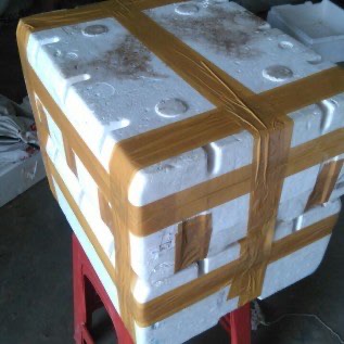 JUAL CACING TANAH. ( LR, ANC. TIGER ) CACING SUTRA, CACING DARAH.