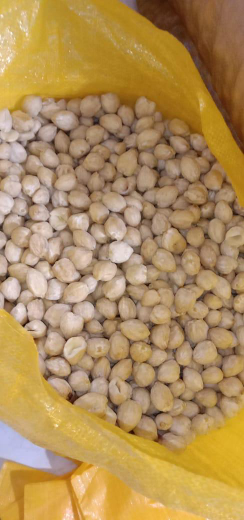 Jual Kemiri Utuh dan pecah