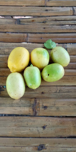 Lemon Lokal