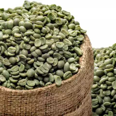 kopi luwak robusta Thailand