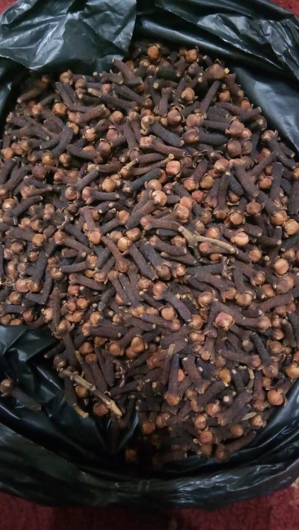 JUAL CLOVE / CENGKEH GRADE A