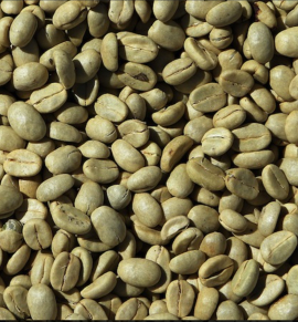 Green Bean Robusta & Arabica Bengkulu